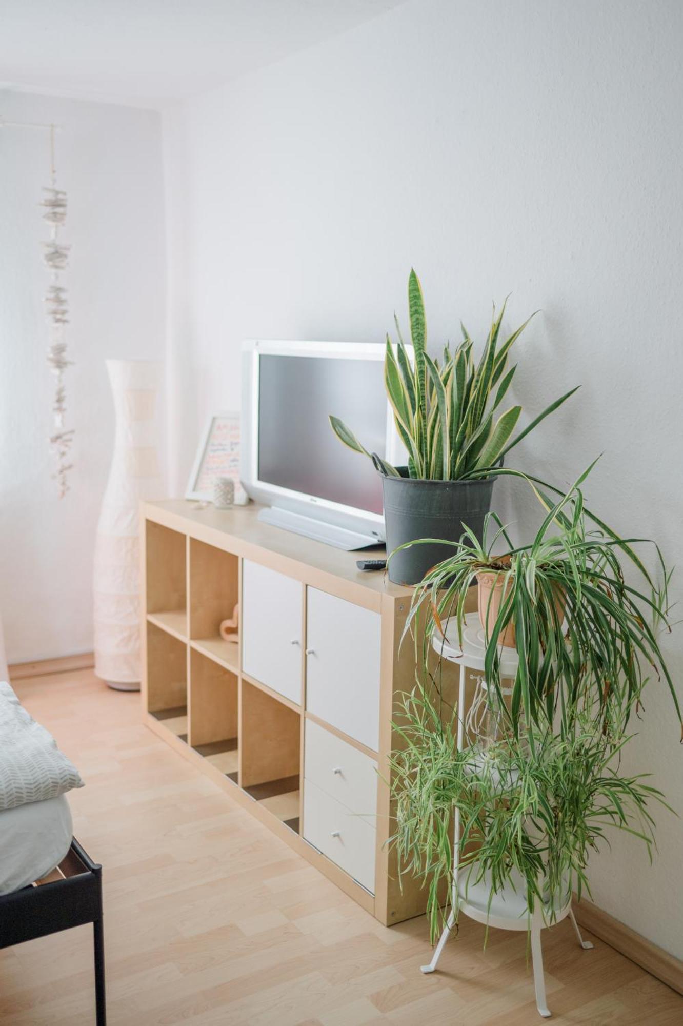 Buchlindenweg - Zimmer & Ferienwohnung Breitscheid  Buitenkant foto